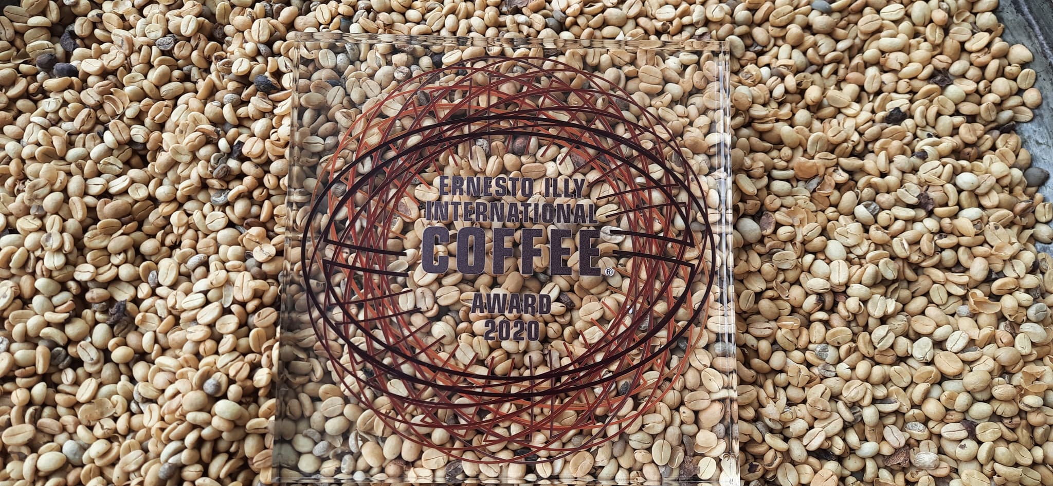 Ernesto Illy International Coffee Award, 2020